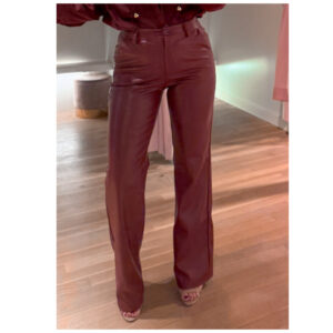 Lucy vegan leather pants - bordo